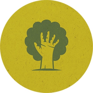 Icon Forstservice Rummel Baumpflege