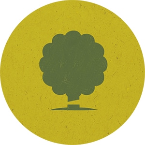 Icon Forstservice Rummel Baum Fällung